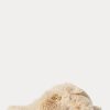 Beige Ralph Lauren Sydni Flache Schuhe aus Kunstpelz für Damen Beige Ralph Lauren Sydni Flache Schuhe aus Kunstpelz für Damen