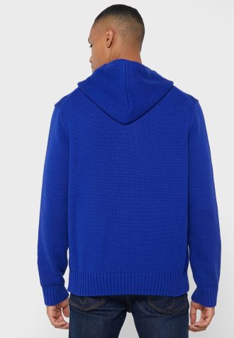 Blauer Ralph Lauren Grafik-Hoodie für Herren