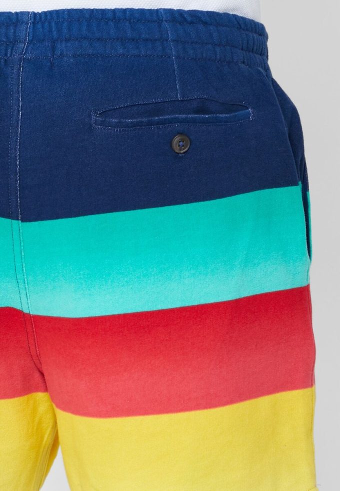 Mehrfarbige Ralph Lauren Color Block-Shorts für Herren Mehrfarbige Ralph Lauren Color Block-Shorts für Herren